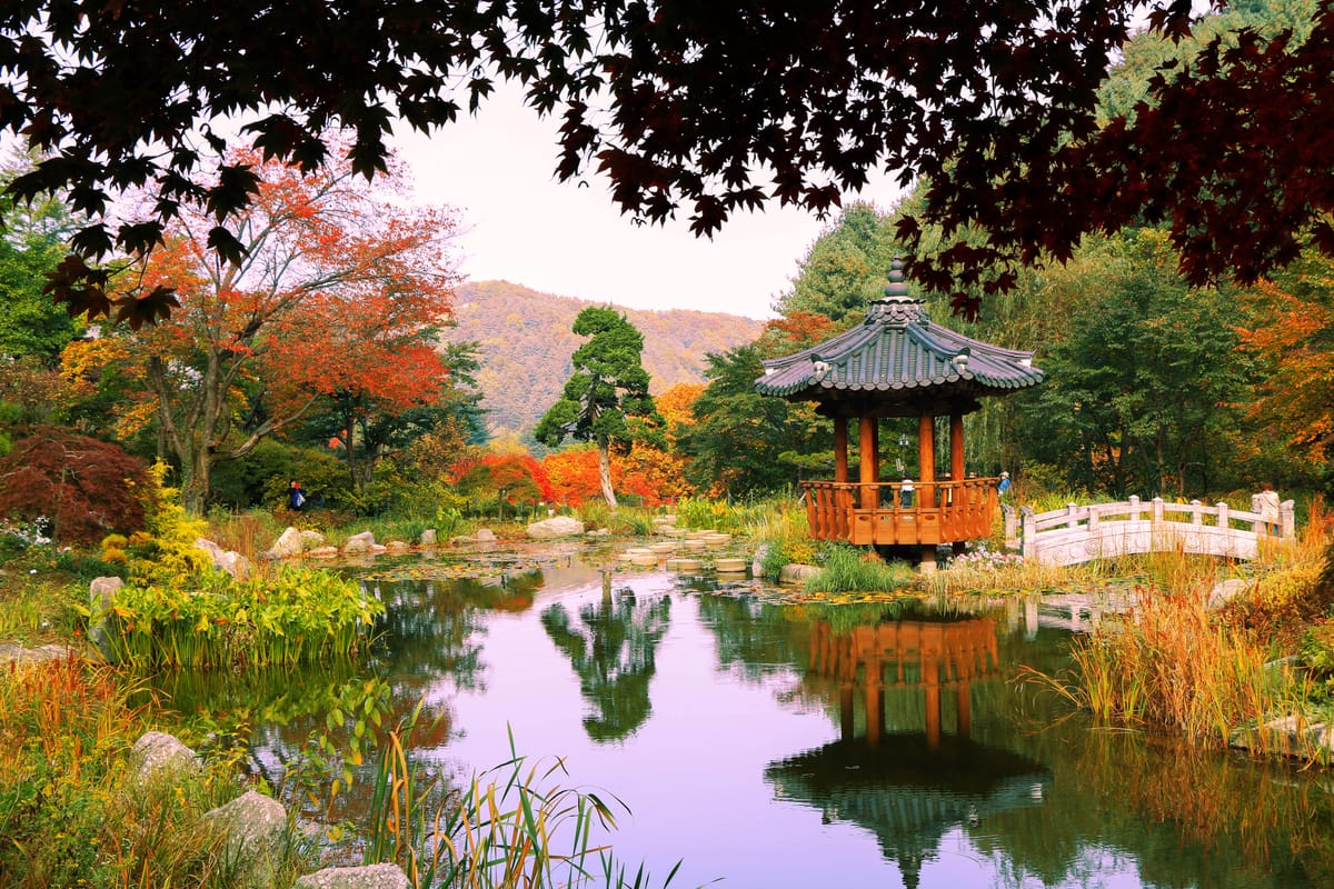 nami-island-petite-france-italian-village-and-garden-of-morning-calm-tour-from-seoul_1